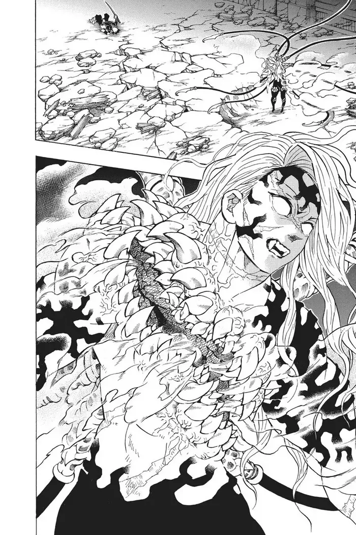 Demon Slayer Chapter 197 image 11_optimized